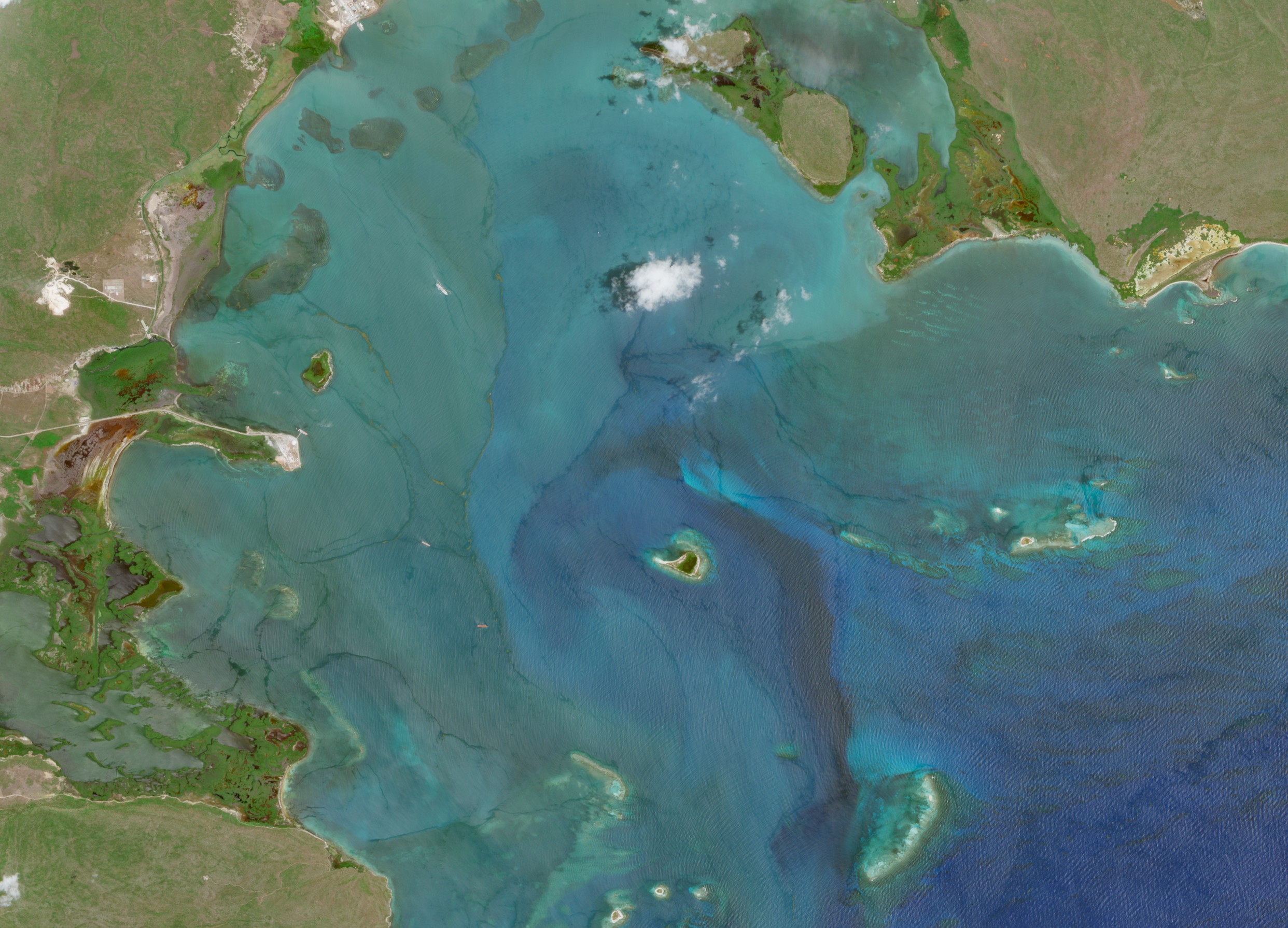 Satellite view of sargassum